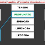 Abbina l'aggettivo all'immagine